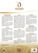 SELEZIONE ZUPPE E MINESTRE DI SEMOLA DI GRANO DURO LENATO - 4 Conf X 3 Tipologie da 500 Gr - immagine 3