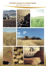 SELEZIONE ZUPPE E MINESTRE DI SEMOLA DI GRANO DURO LENATO - 4 Conf X 3 Tipologie da 500 Gr - immagine 4