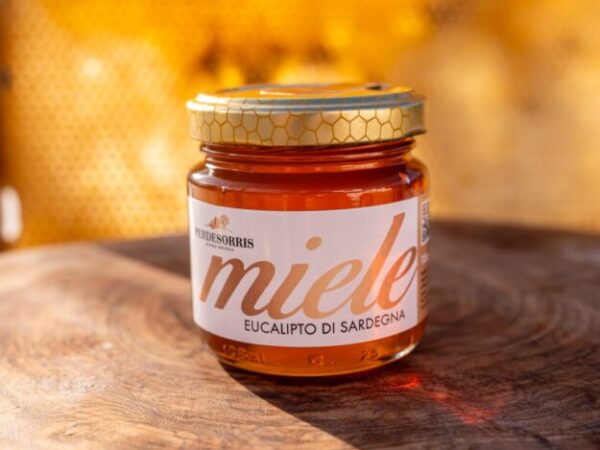 Cropped DSC05788 scaled 1.jpg