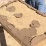 Immagine 2025 06 12 154651