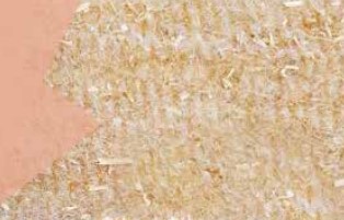 Immagine 2025 06 12 161820