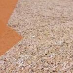 Immagine 2025 06 12 163133