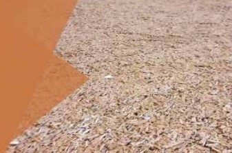 Immagine 2025 06 12 163133