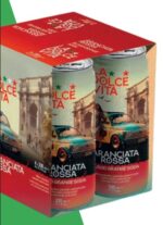 Immagine 2025 06 13 114326