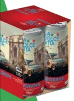 Immagine 2025 06 13 122333