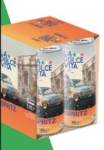 Immagine 2025 06 13 122758