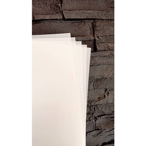 2336211.jpg 2336211.jpg