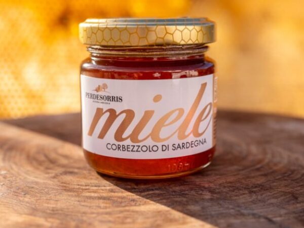 Cropped whatsapp image 2025 09 12 at 11.37.29 1.jpeg