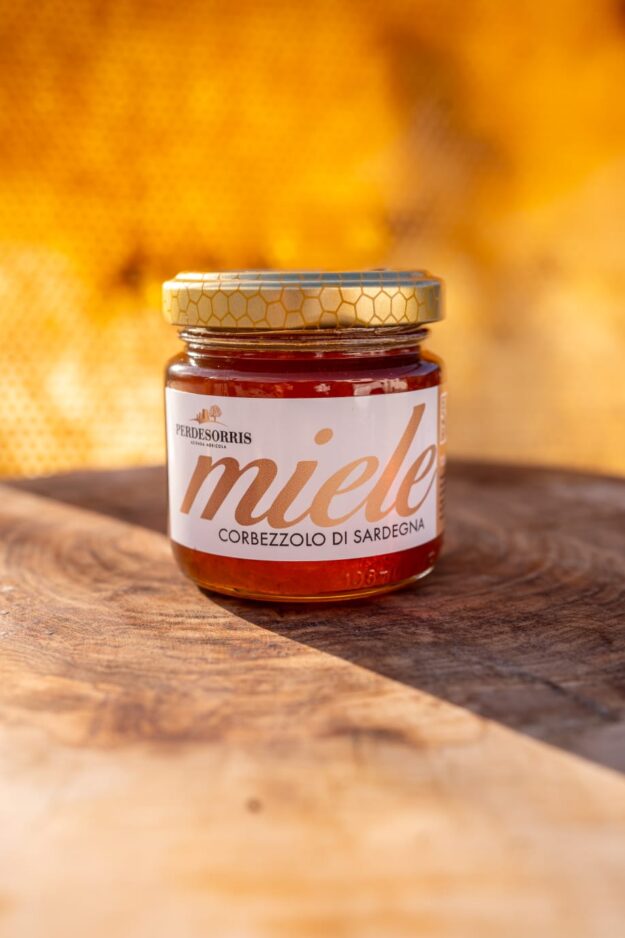 Cropped whatsapp image 2025 09 12 at 11.37.29 1.jpeg