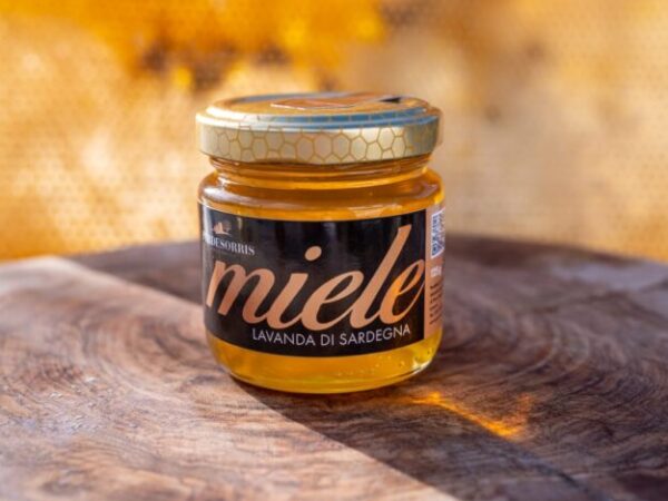 Cropped whatsapp image 2025 09 12 at 11.37.29.jpeg