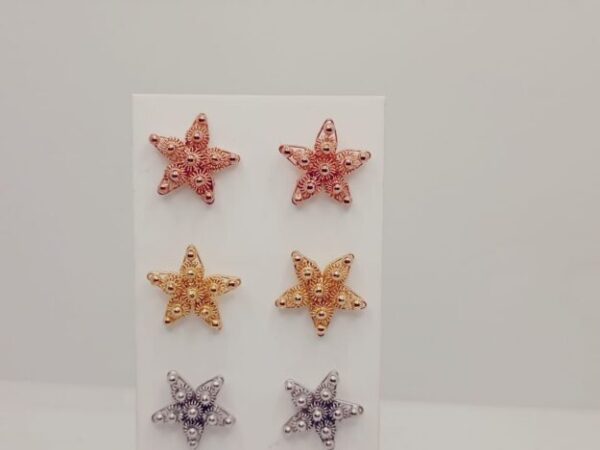 Cropped whatsapp image 2025 09 26 at 12.22.51.jpeg