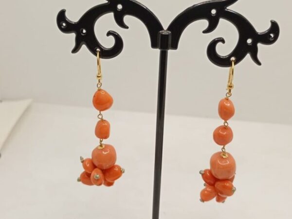 Cropped whatsapp image 2025 09 27 at 10.32.35.jpeg