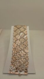 Cropped whatsapp image 2025 09 27 at 11.51.19.jpeg