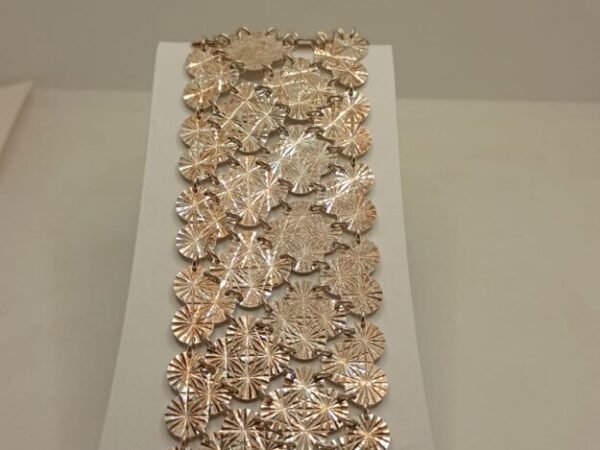 Cropped whatsapp image 2025 09 27 at 11.51.19.jpeg