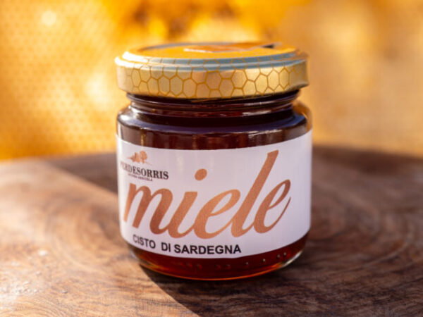 Cropped DSC05784 scaled 1.jpg