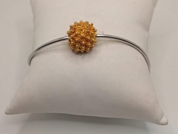 Cropped WhatsApp Image 2025 11 27 at 12.29.37.jpeg