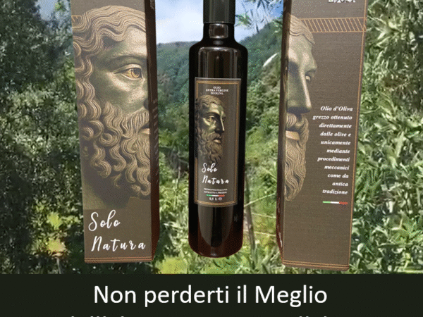 Olio regalo in uliveto