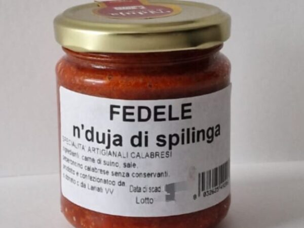 Cropped IMG 20260221 WA0071.jpg