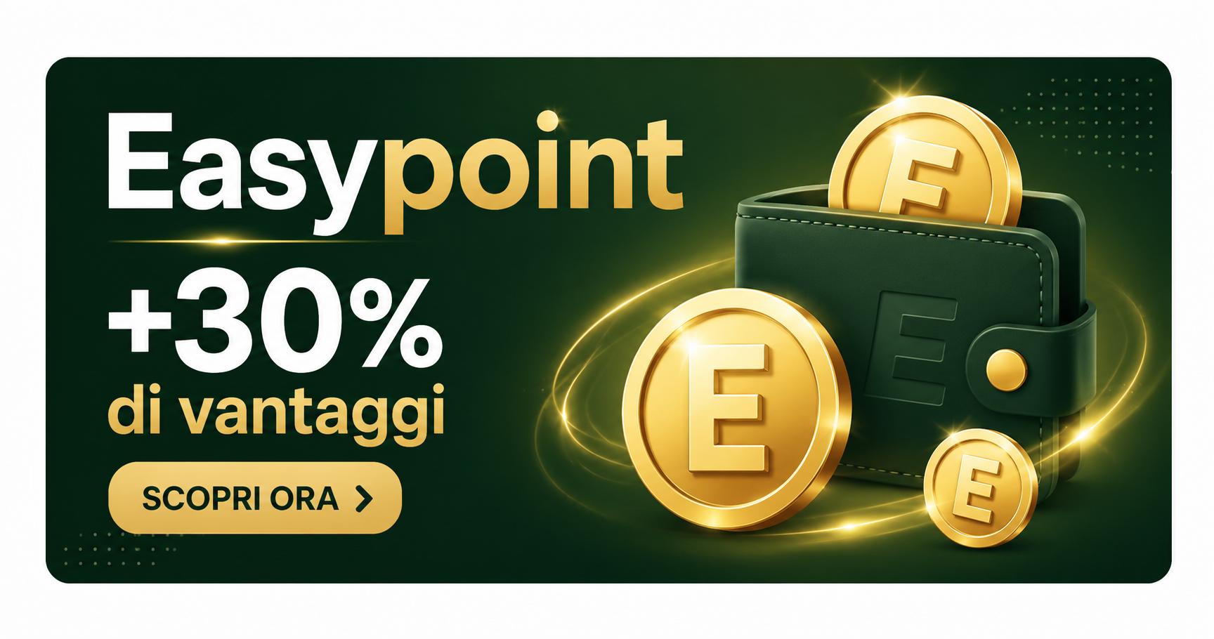 Banner Easypoint piccolo semplice